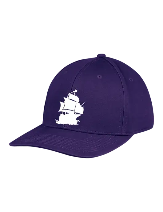 Premium Modern Structured Twill Purple Snapback Cap w/Blackbeard Logo